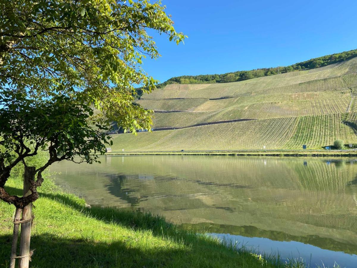 Neu!!! Moselbleibe Winzerhaus Kues Apartman Bernkastel-Kues Kültér fotó